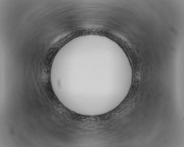 X0000114430869200911131329