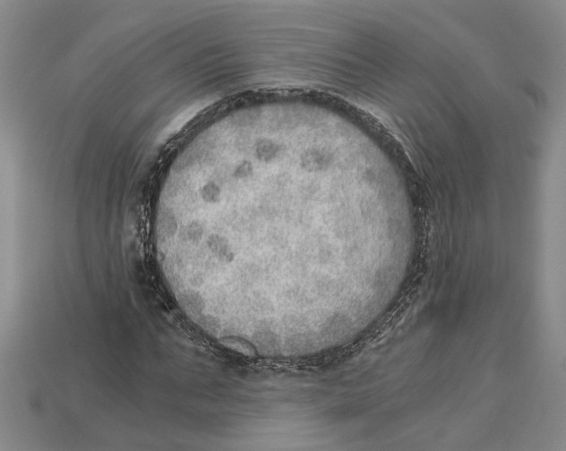 X0000114430871200911131329