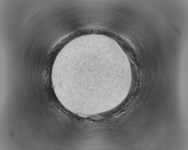 X0000114430872200911131329