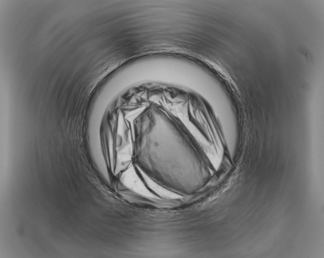 X0000114430873200911131329