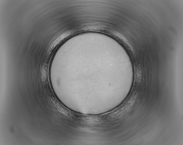 X0000114430874200911131329