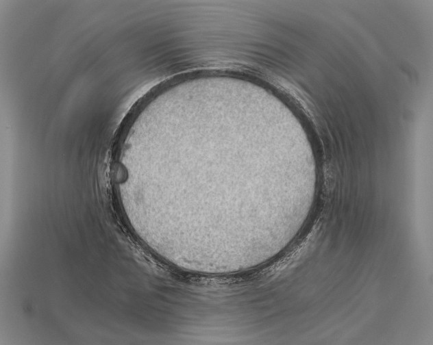 X0000114430875200911131329