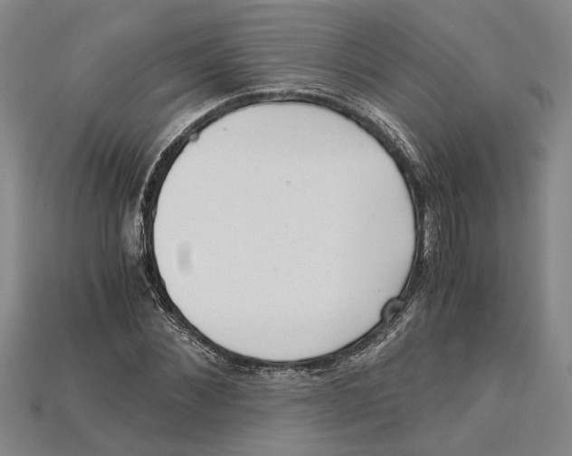 X0000114430876200911131329