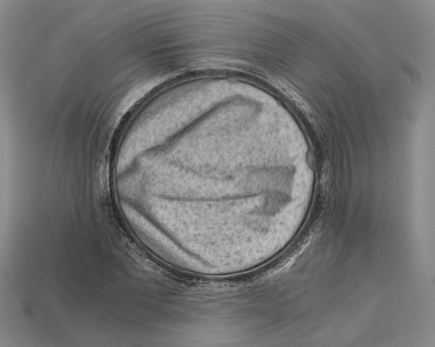 X0000114430877200911131329