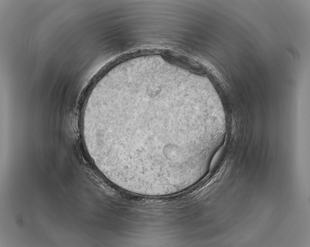 X0000114430878200911131329