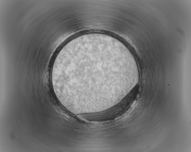 X0000114430879200911131329