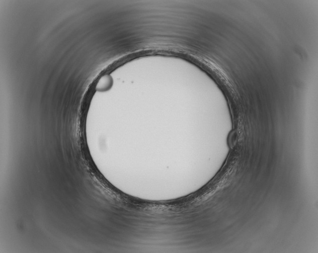 X0000114430880200911131329