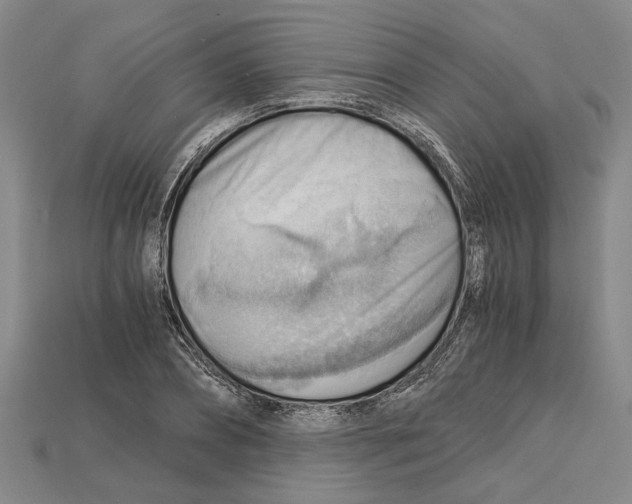 X0000114430882200911131329