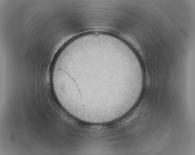 X0000114430883200911131329