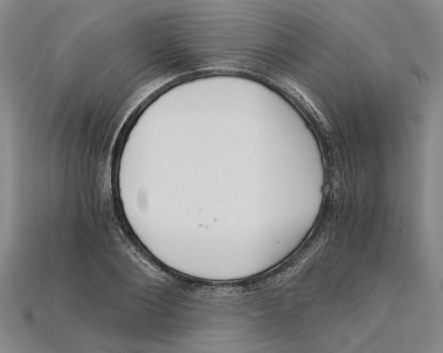 X0000114430884200911131329