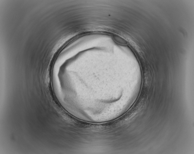 X0000114430885200911131329