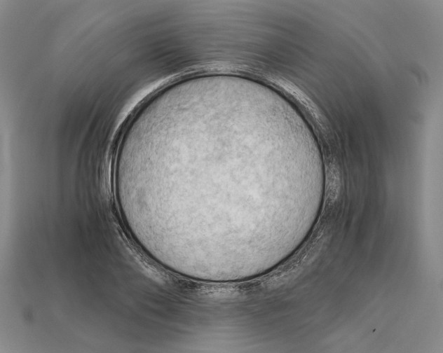 X0000114430886200911131329