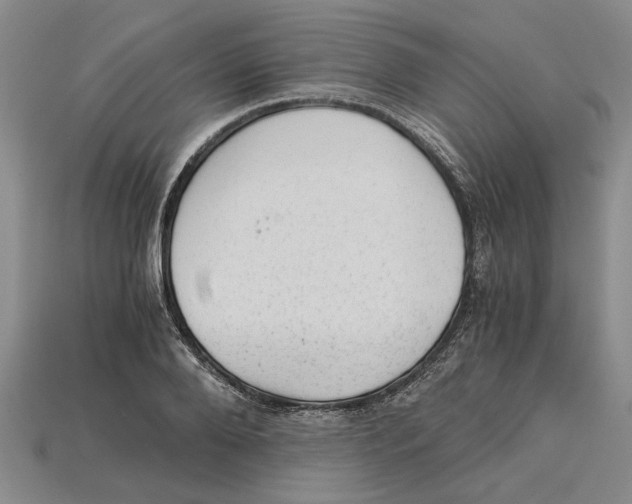 X0000114430888200911131329