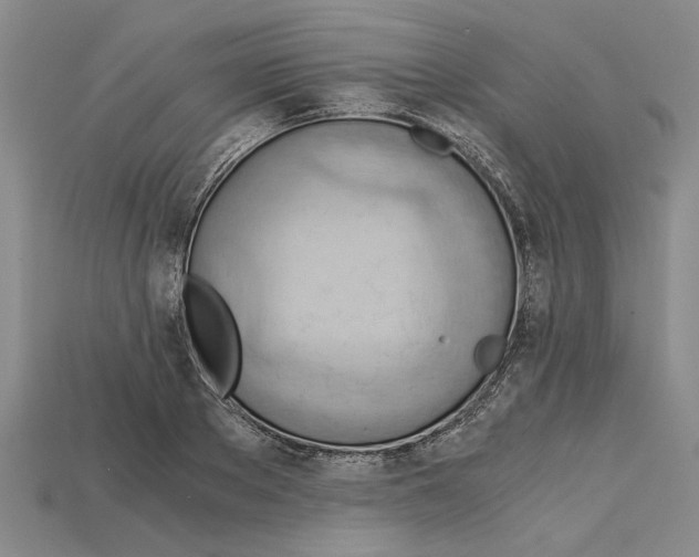 X0000114430889200911131329