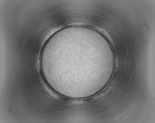 X0000114430890200911131329