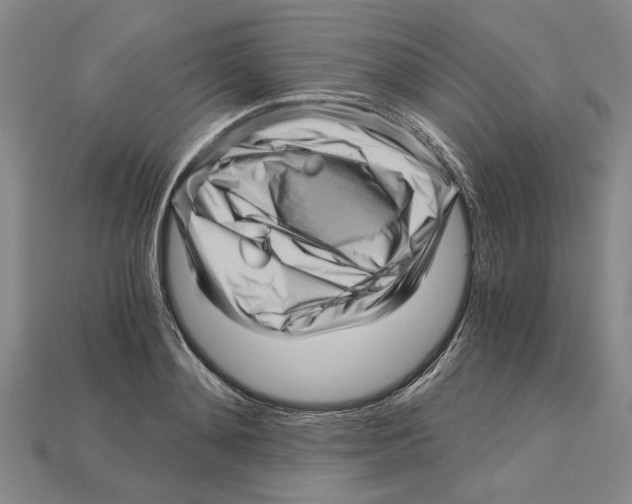 X0000114430892200911131329