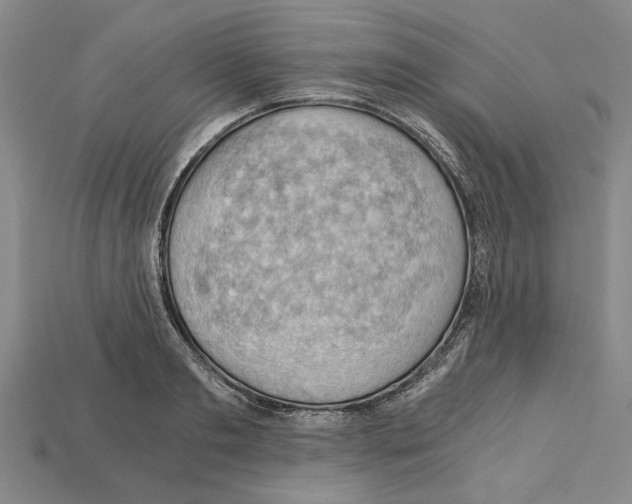 X0000114430893200911131329