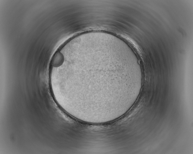 X0000114430894200911131329