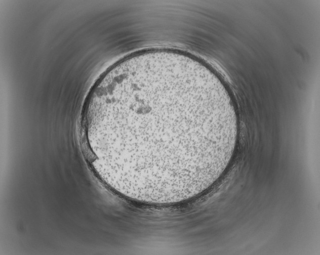 X0000114430895200911131329