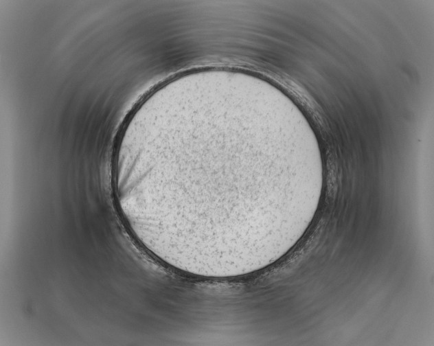 X0000114430896200911131329