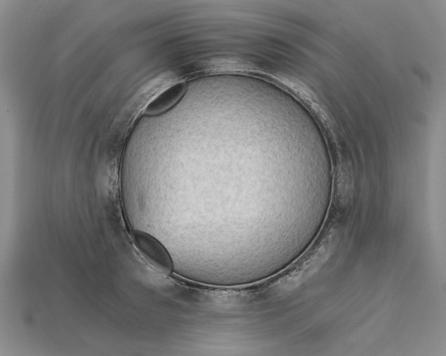 X0000114430897200911131329