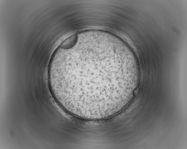 X0000114430898200911131329