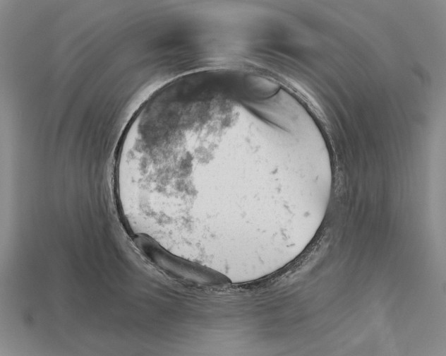 X0000114430899200911131329