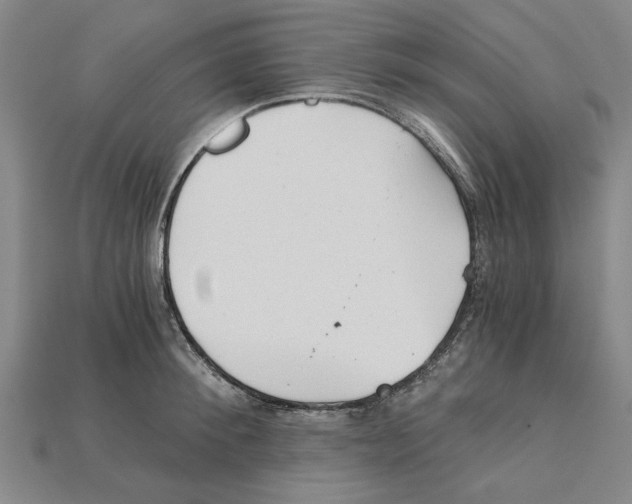 X0000114430900200911131329