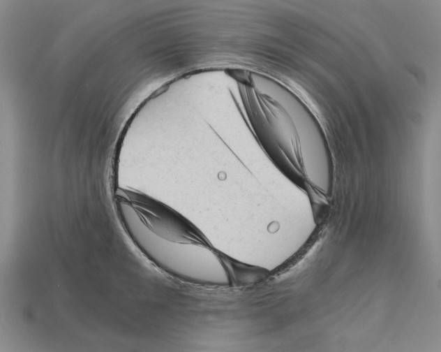 X0000114430901200911131329