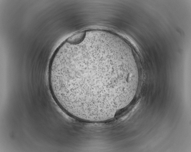 X0000114430902200911131329