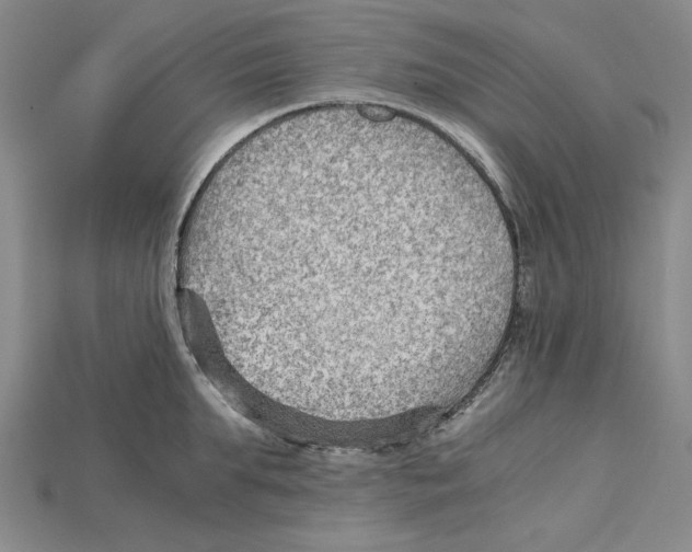 X0000114430903200911131329