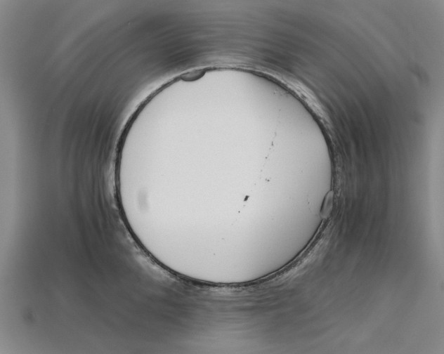 X0000114430904200911131329