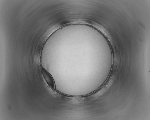 X0000114430905200911131329