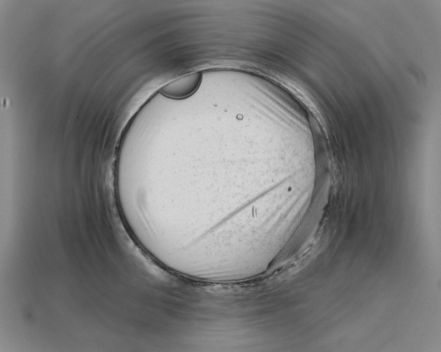 X0000114430906200911131329