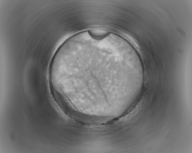 X0000114430907200911131329