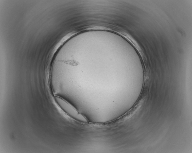 X0000114430909200911131329