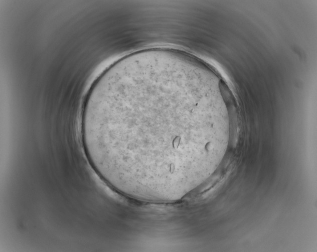 X0000114430910200911131329