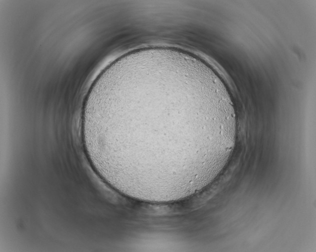 X0000114430911200911131329