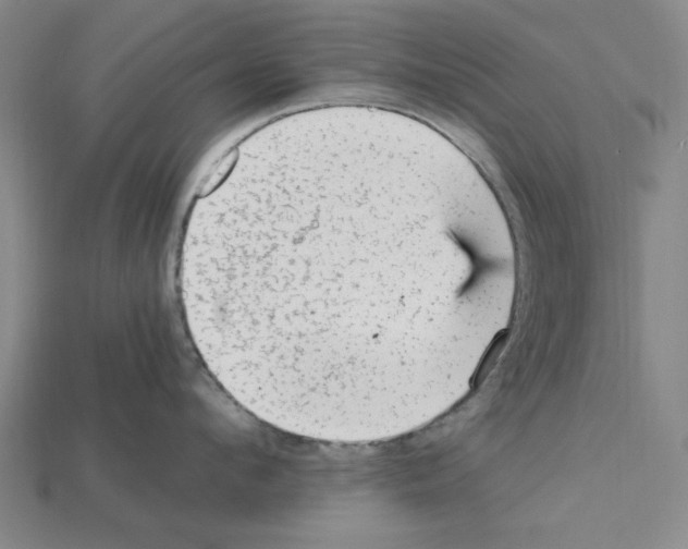 X0000114430912200911131329