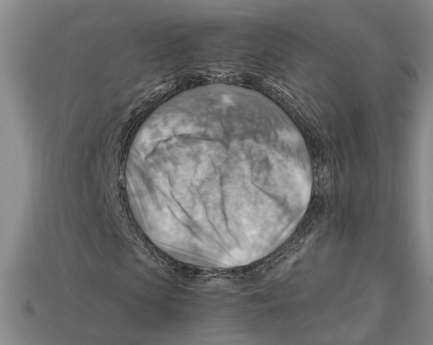 X0000114430913200911131328