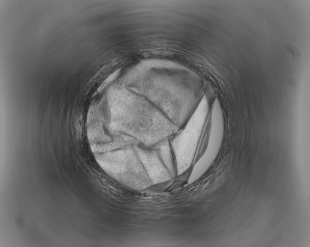 X0000114430915200911131328