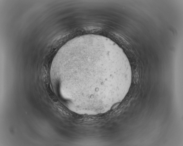 X0000114430917200911131328