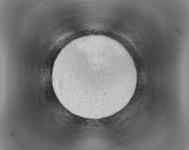 X0000114430918200911131328