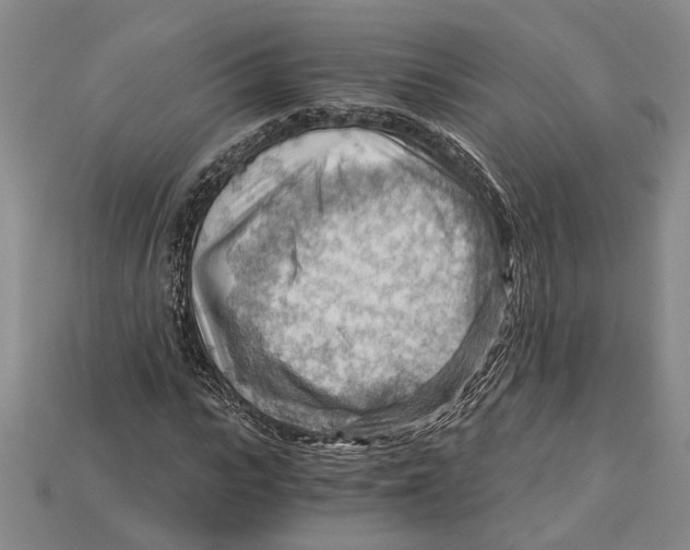 X0000114430919200911131328