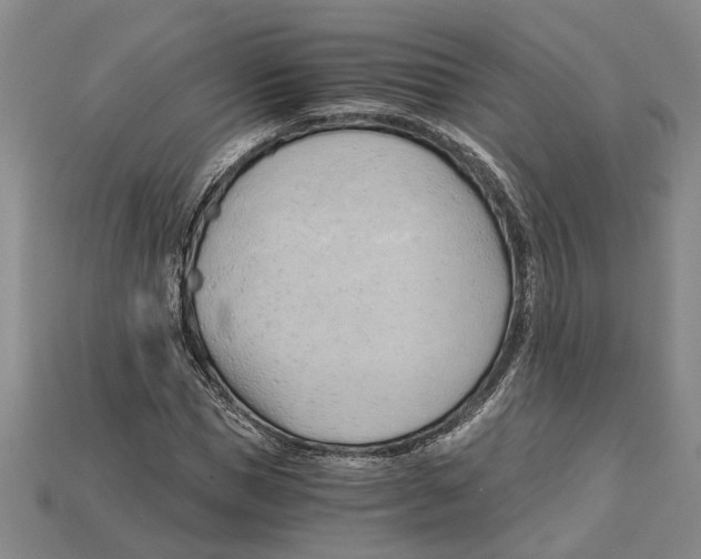 X0000114430921200911131328