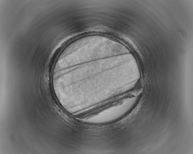 X0000114430923200911131328