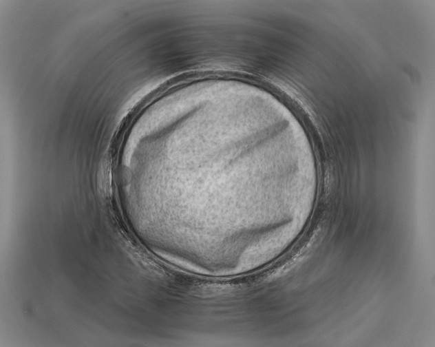 X0000114430925200911131328