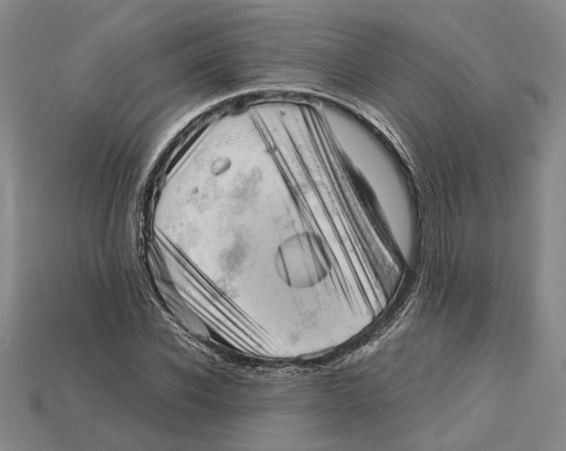 X0000114430926200911131328