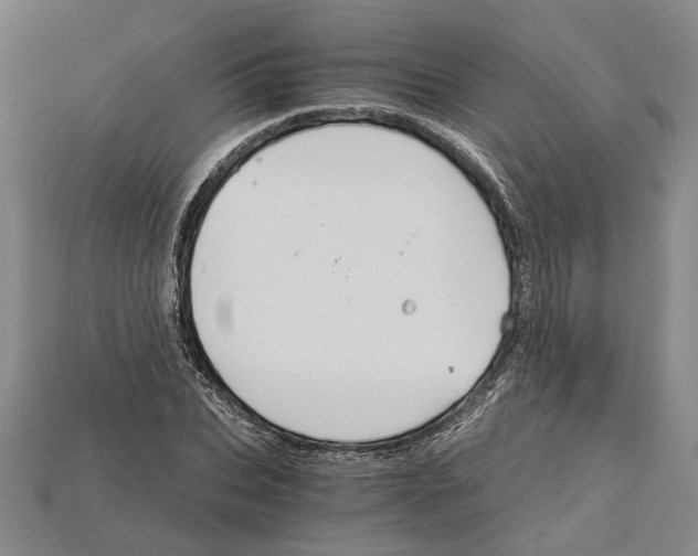 X0000114430927200911131328