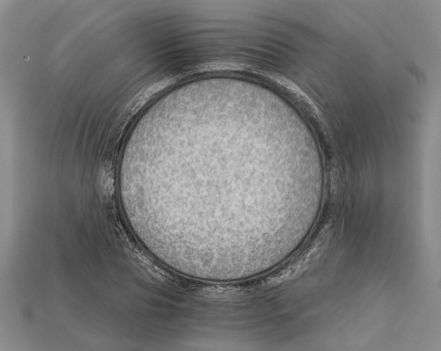 X0000114430929200911131328